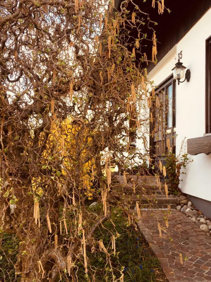Hegau-Lounge-Bodensee Muhlhausen-Ehingen Exteriör bild